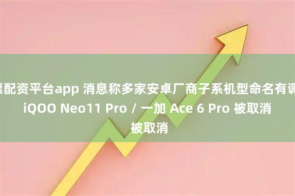 股票配资平台app 消息称多家安卓厂商子系机型命名有调整，iQOO Neo11 Pro / 一加 Ace 6 Pro 被取消